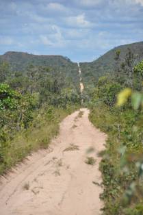 A estreita e longa estrada de areia corta o cerrado no sul do Maranhão, região de Alto Parnaíba - MA
